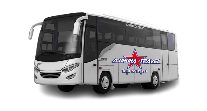 Medium/Big Bus