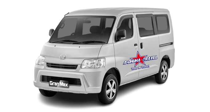 Grandmax